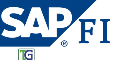 SAP FI Financial Accounting Module and Concepts,SAP FI concepts,sap fi module,sap financial accounting module,sap financial accounting concepts,