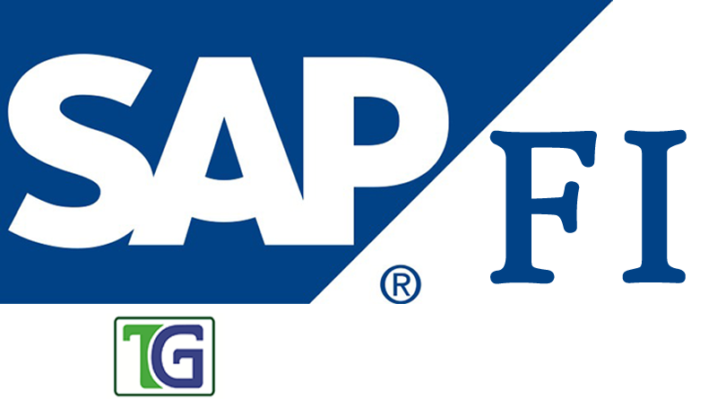 SAP FI Financial Accounting Module and Concepts,SAP FI concepts,sap fi module,sap financial accounting module,sap financial accounting concepts,
